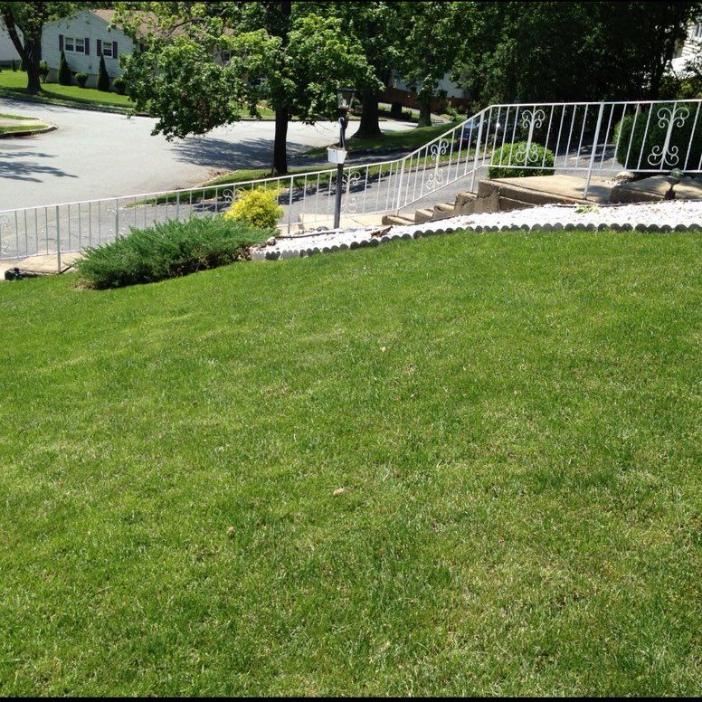 Isiah Lawn Care