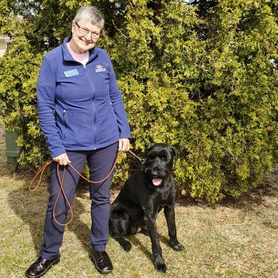 Avatar for Marquardt K9 Behavior Training LLC