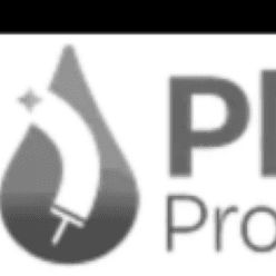 Platinum Pro Cleaners LLC