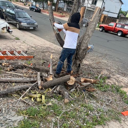 CEC landscaping Profile Picture
