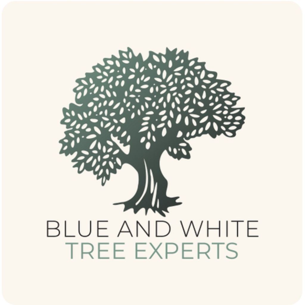 Blue and White Tree Experts