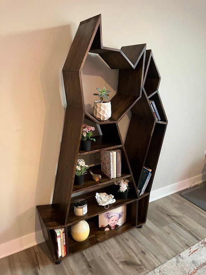 Cat Bookshelf