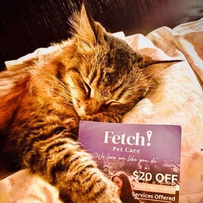 Avatar for Fetch Pet Care of East Hollywood