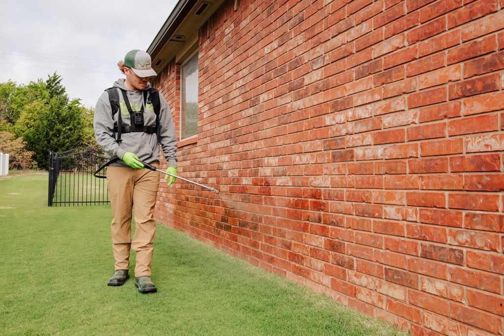 Total Home Pest- treating spiders, ants, earwigs &