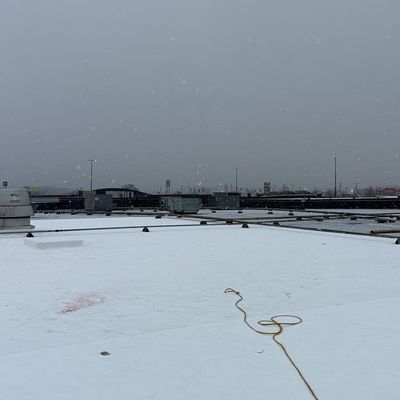Avatar for Mateo roofing