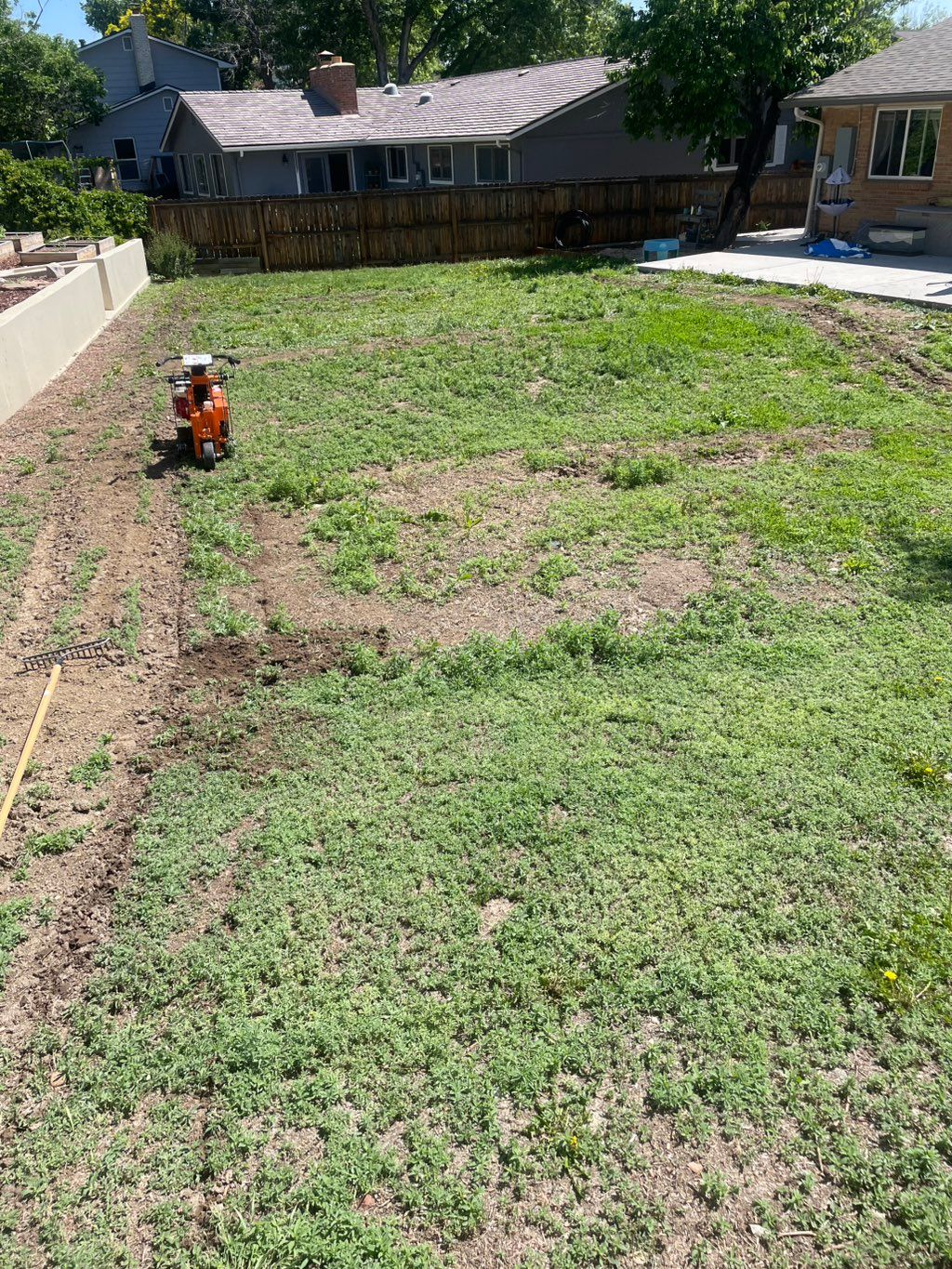 Before with all the weeds 