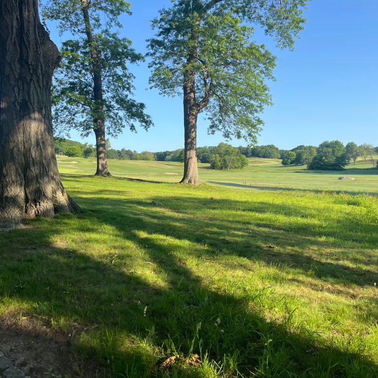 LuckiiElite LandScape’s