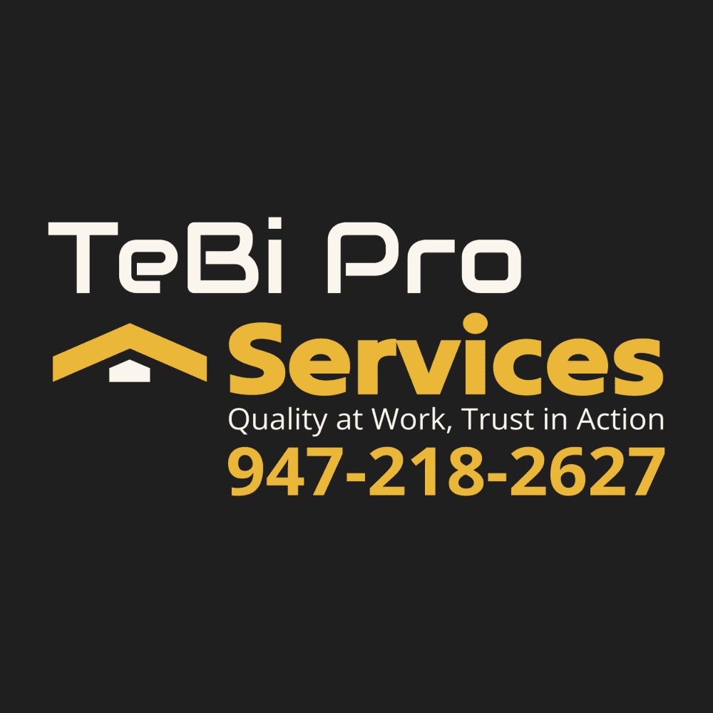 Tebi Pro Services