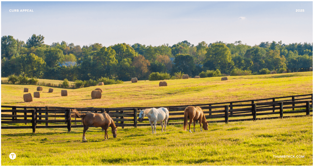 farm with animals