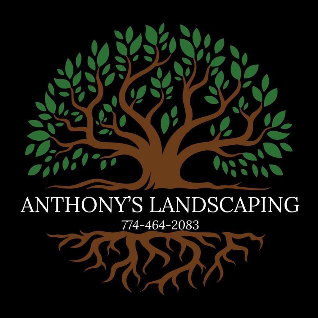 Anthony’s landscaping