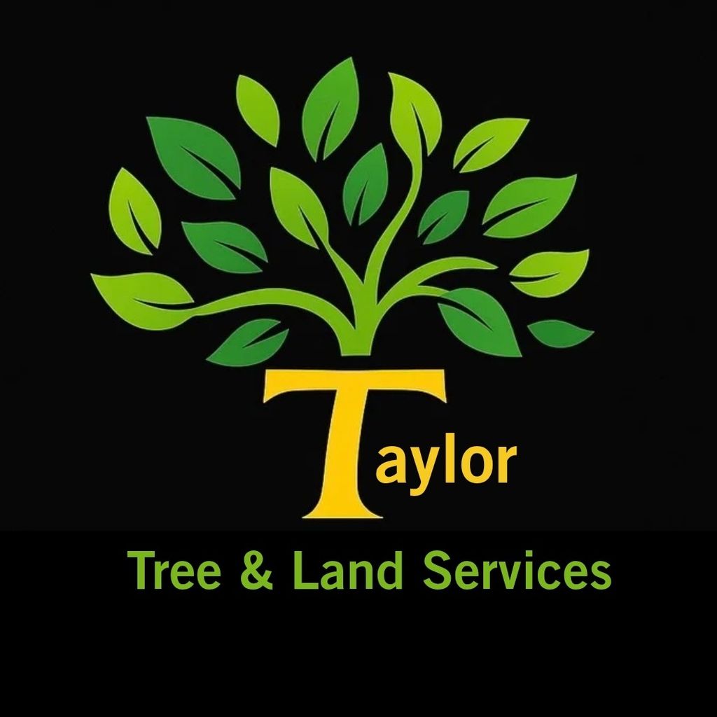 Taylor Tree and Land Services