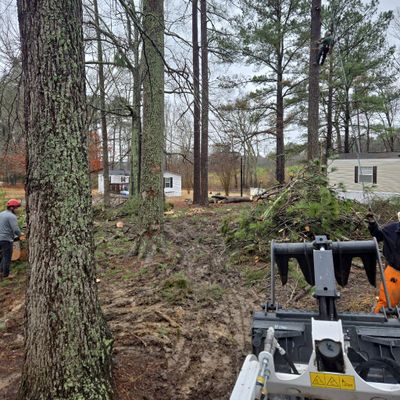 Avatar for Brother Bear Tree Service And Landscaping