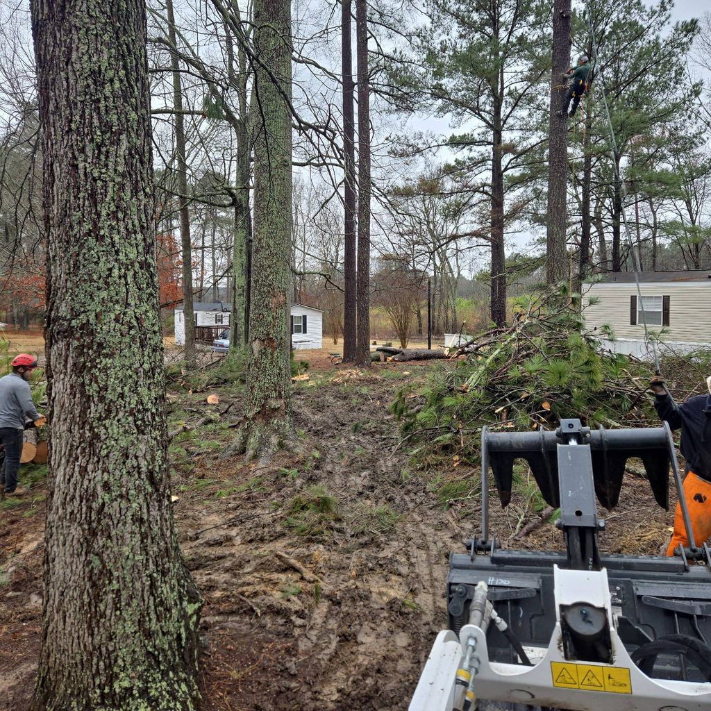 Brother Bear Tree Service And Landscaping
