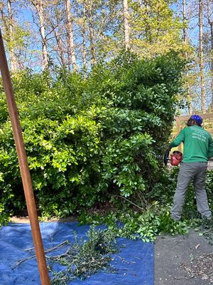 Avatar for Dolan landscaping LLC