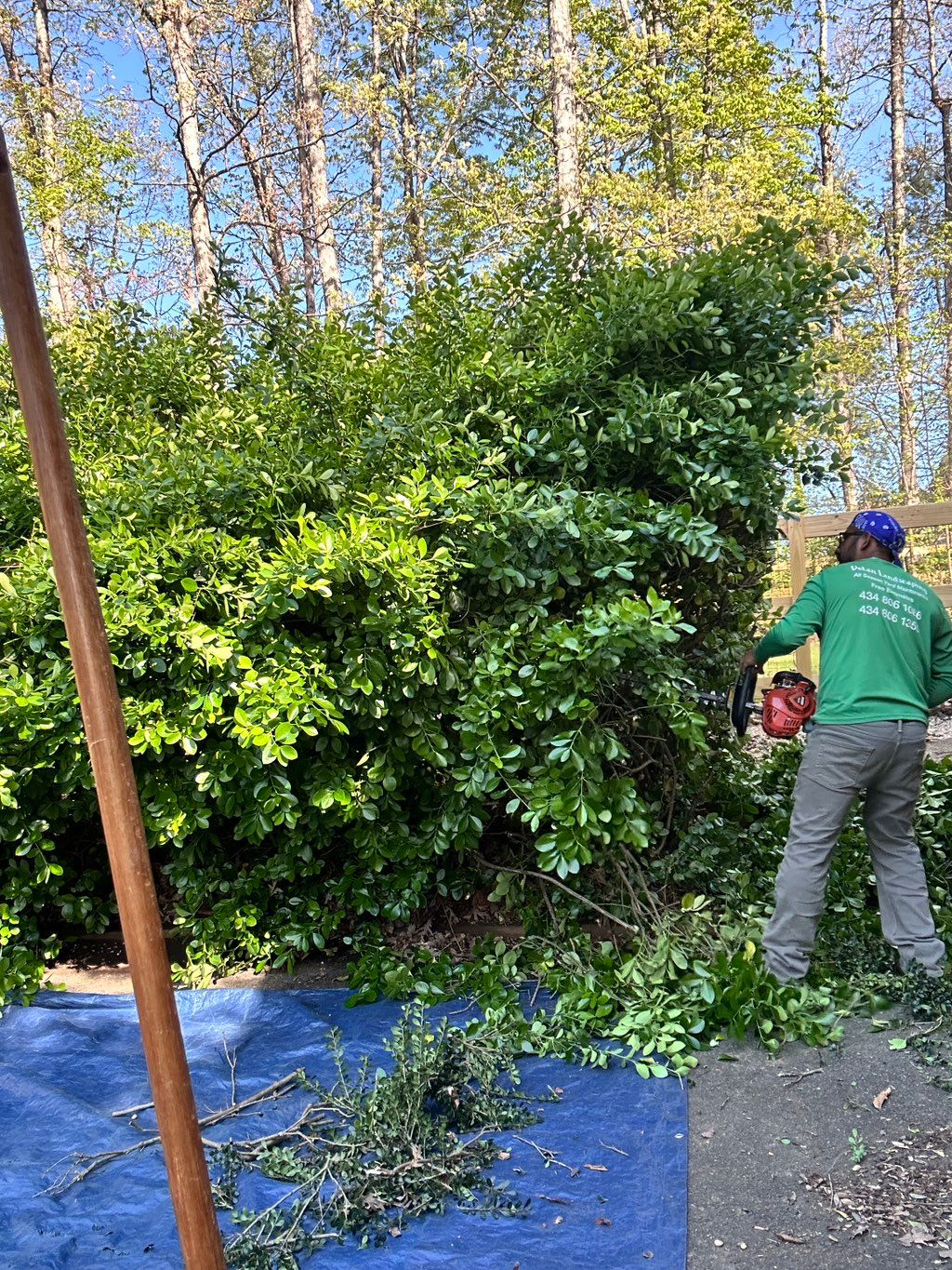 Dolan landscaping LLC
