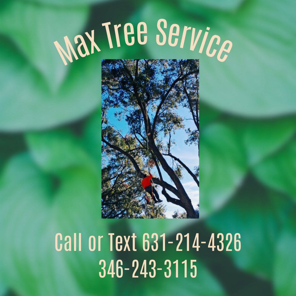 Max Reyes Tree service