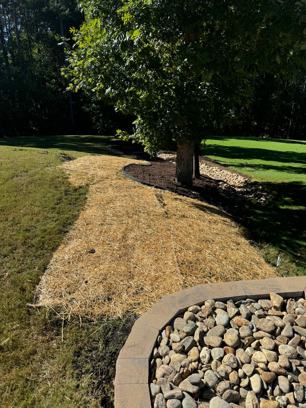 Erosion Control & Mulch Installation