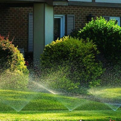 Avatar for Irrigation and more