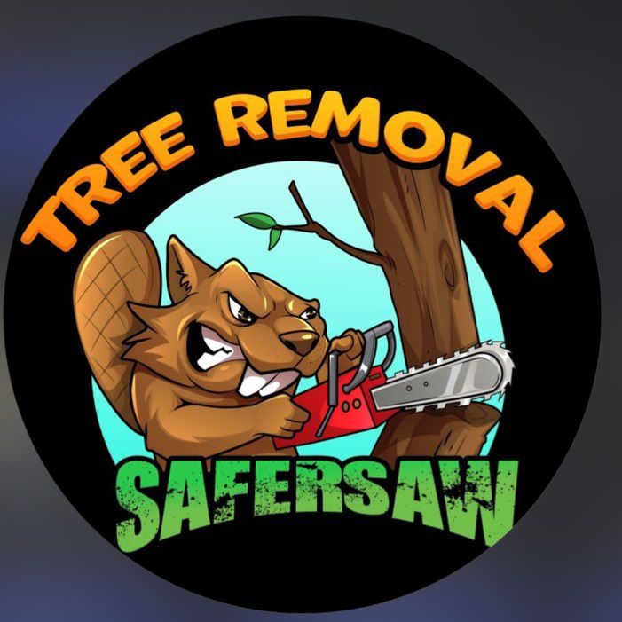 SAFERSAW