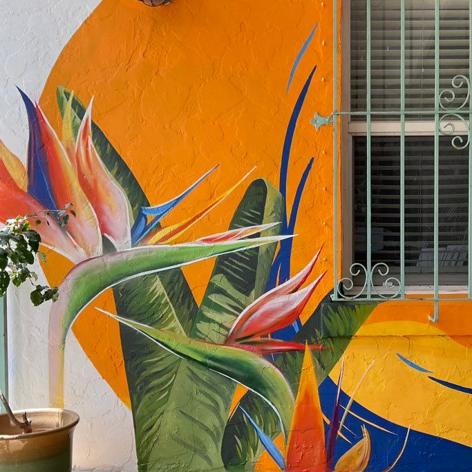 Bana Paints