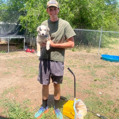 Avatar for Spencer Scoops Dog Poop