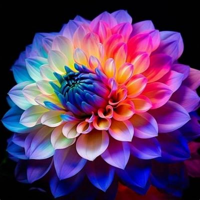 Avatar for Bloom- Lawn Care & Tree trimming