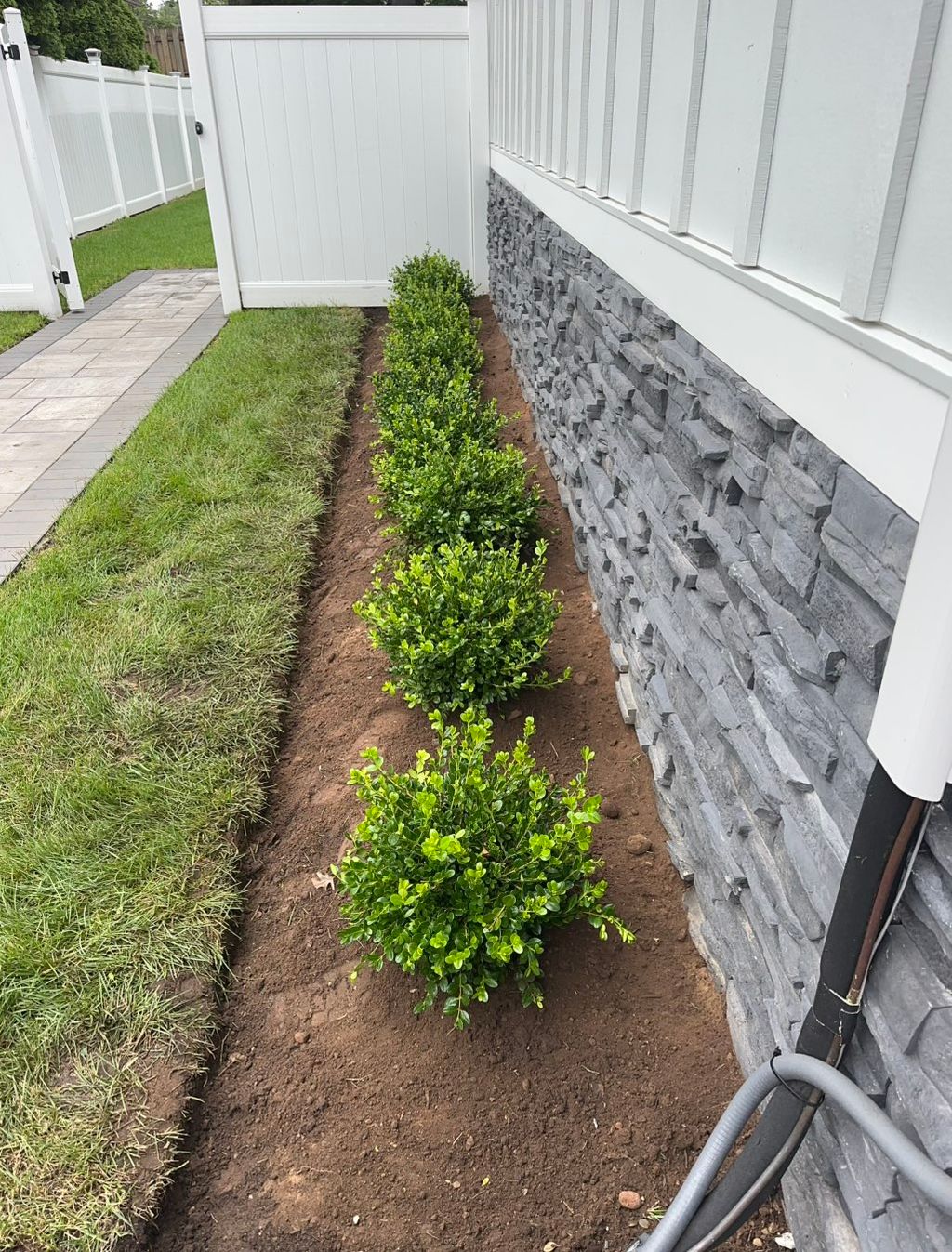Planting 