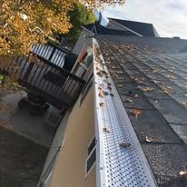 Rain gutter leaf guards
