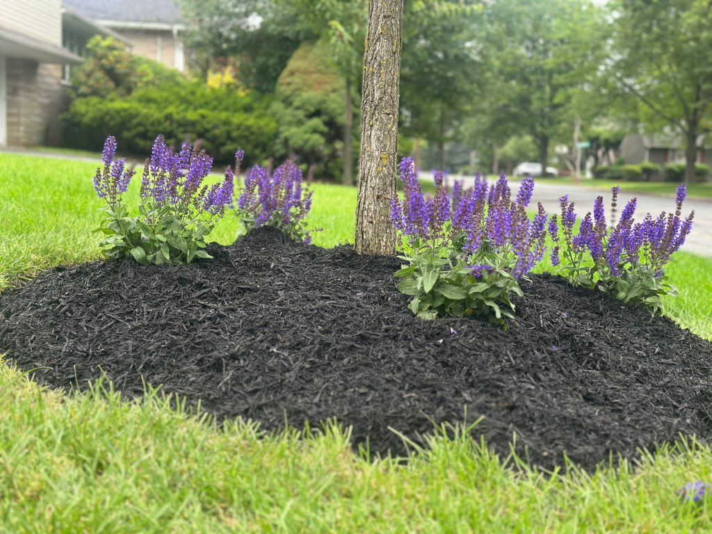Mulch Placement 