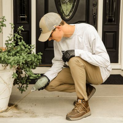 Avatar for Quell Pest Control