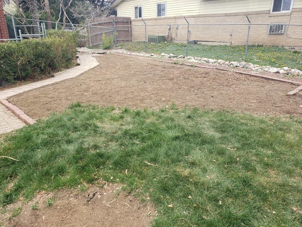 clean up, level and repairs 
