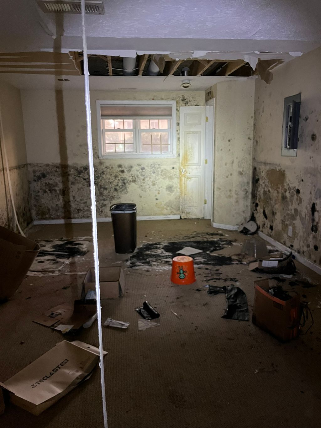 Residential Mold Inspection