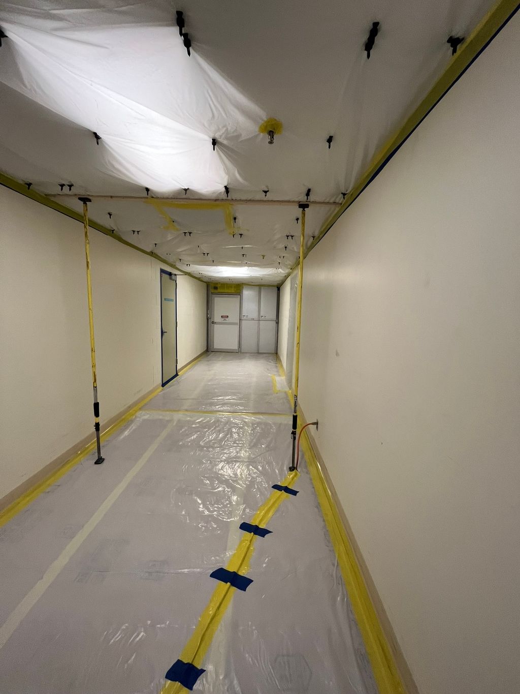 Commercial Property Mold Remediation