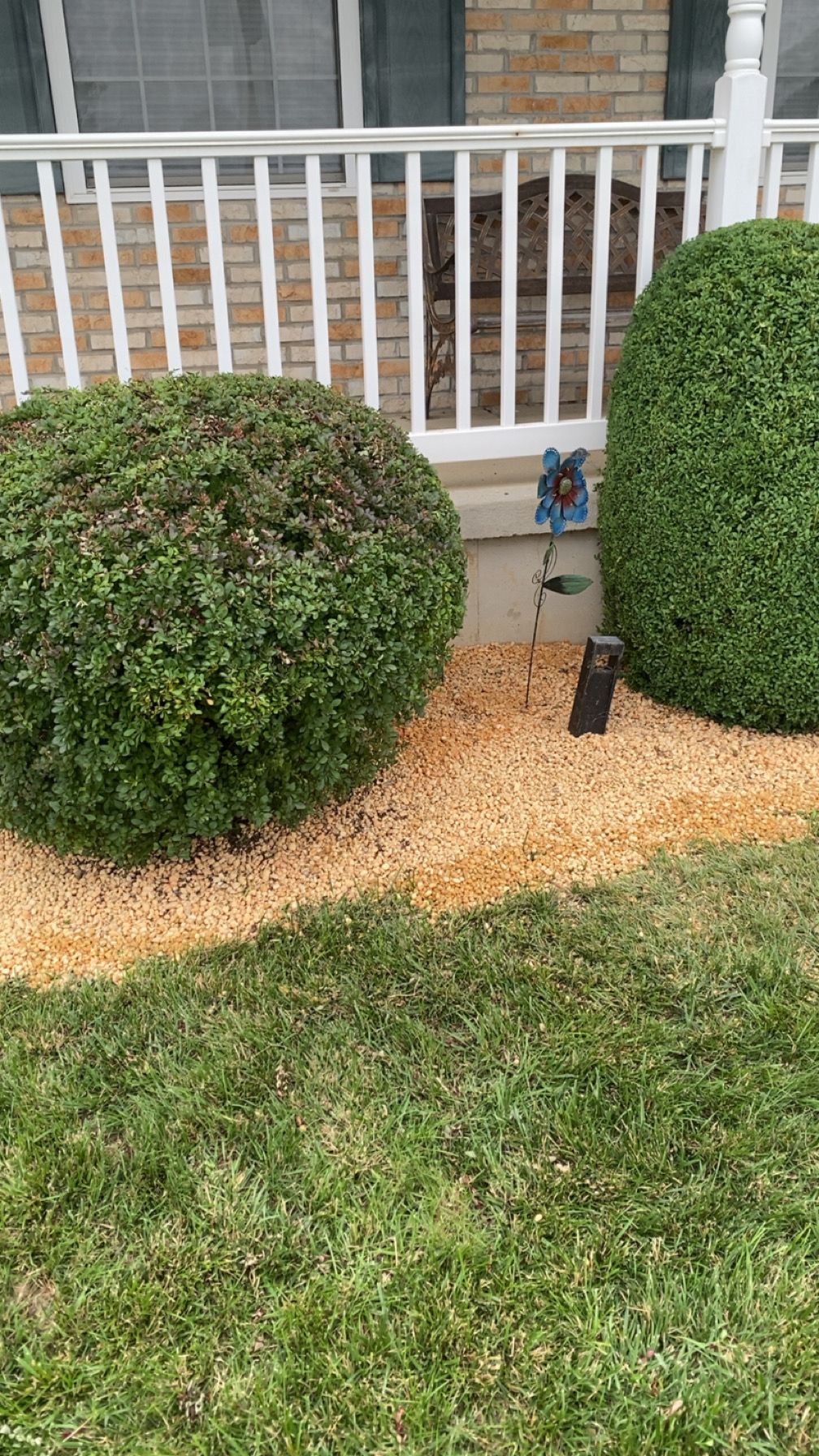 Rocks laid & Bushes Trimmed
