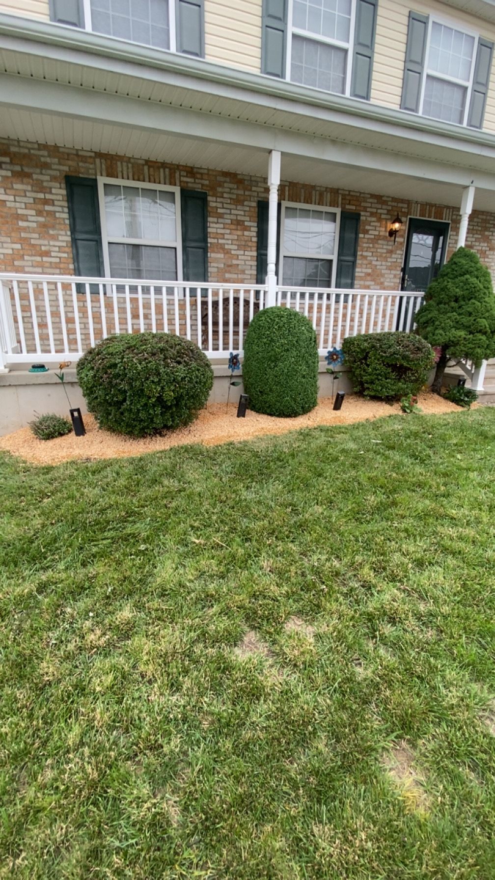 Bushes Trimmed & Rocks laid