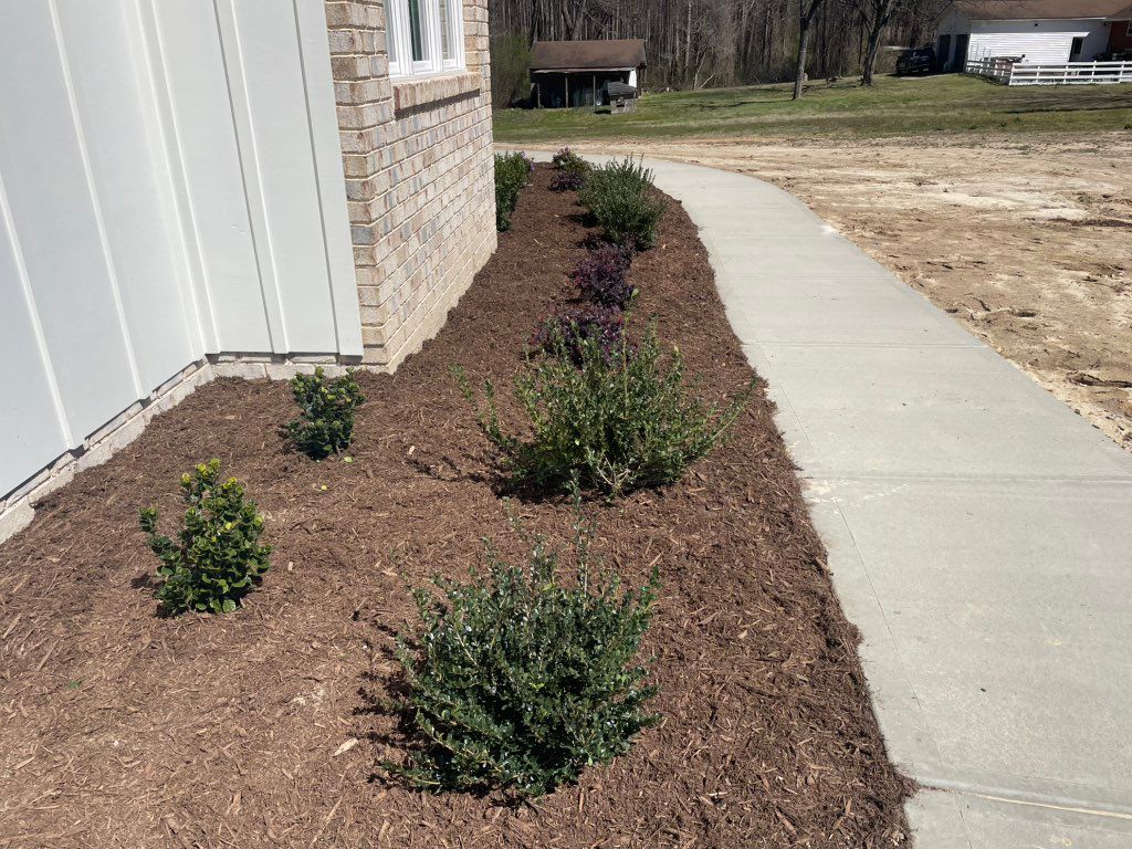 Landscaping Design and installation of plants and 
