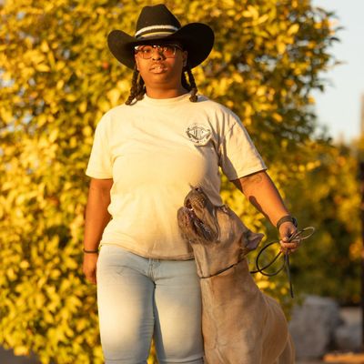 Avatar for Trained To Go Canine