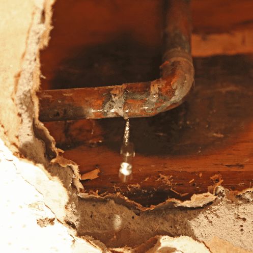 Priority Plumbing and Restoration
