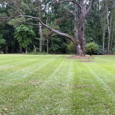 Avatar for Tree City Landscape LLC