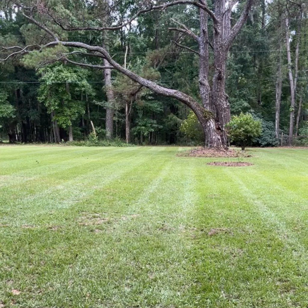 Tree City Landscape LLC