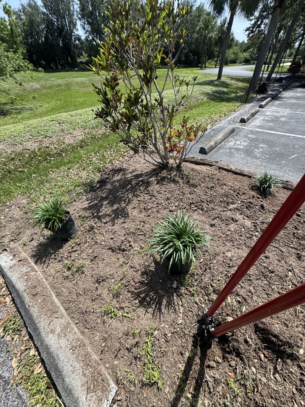 Before/ planting 