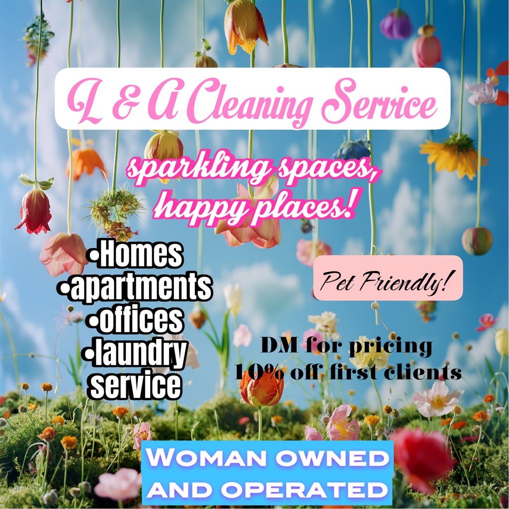 L and A Shine Solutions