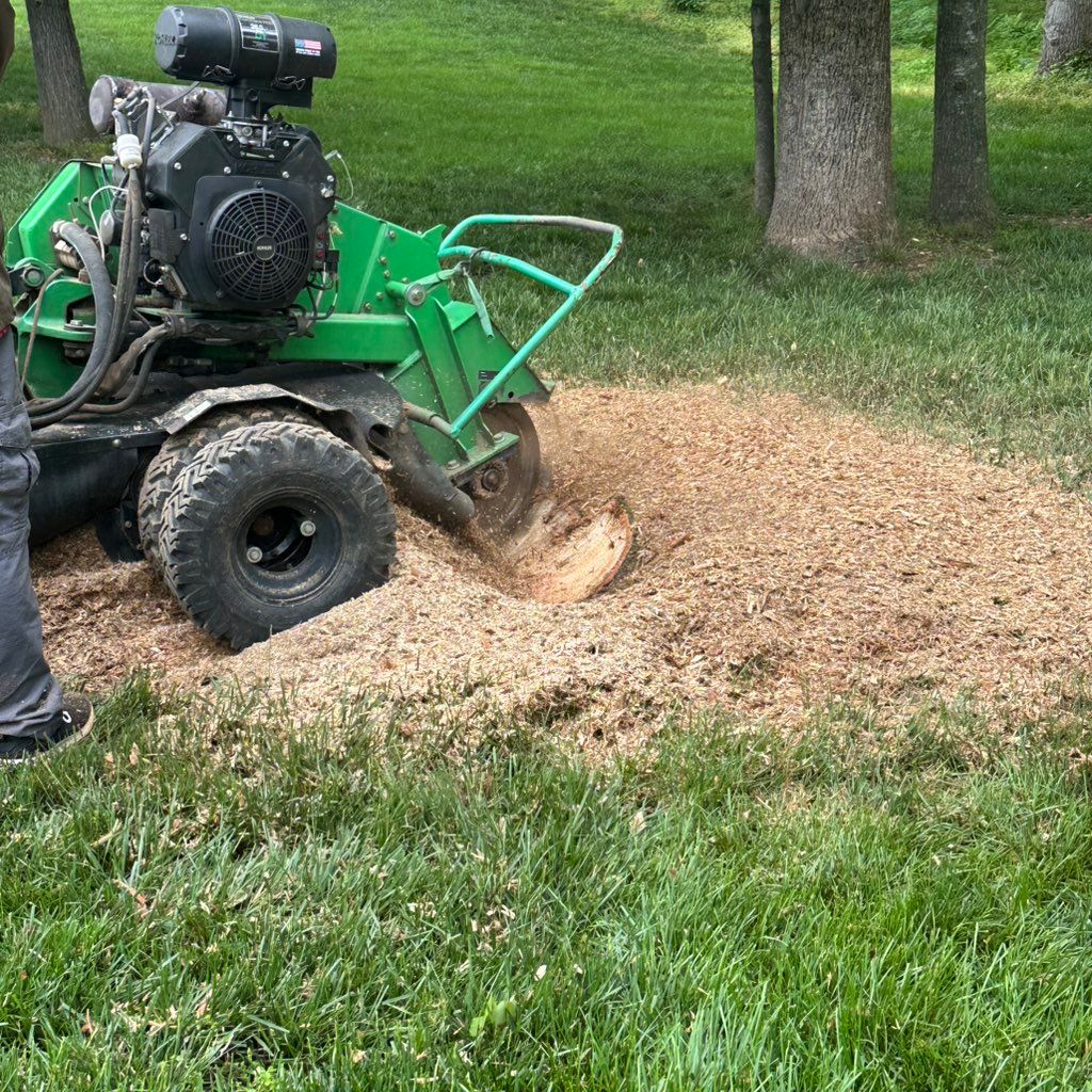 Virginia tree and landscaping