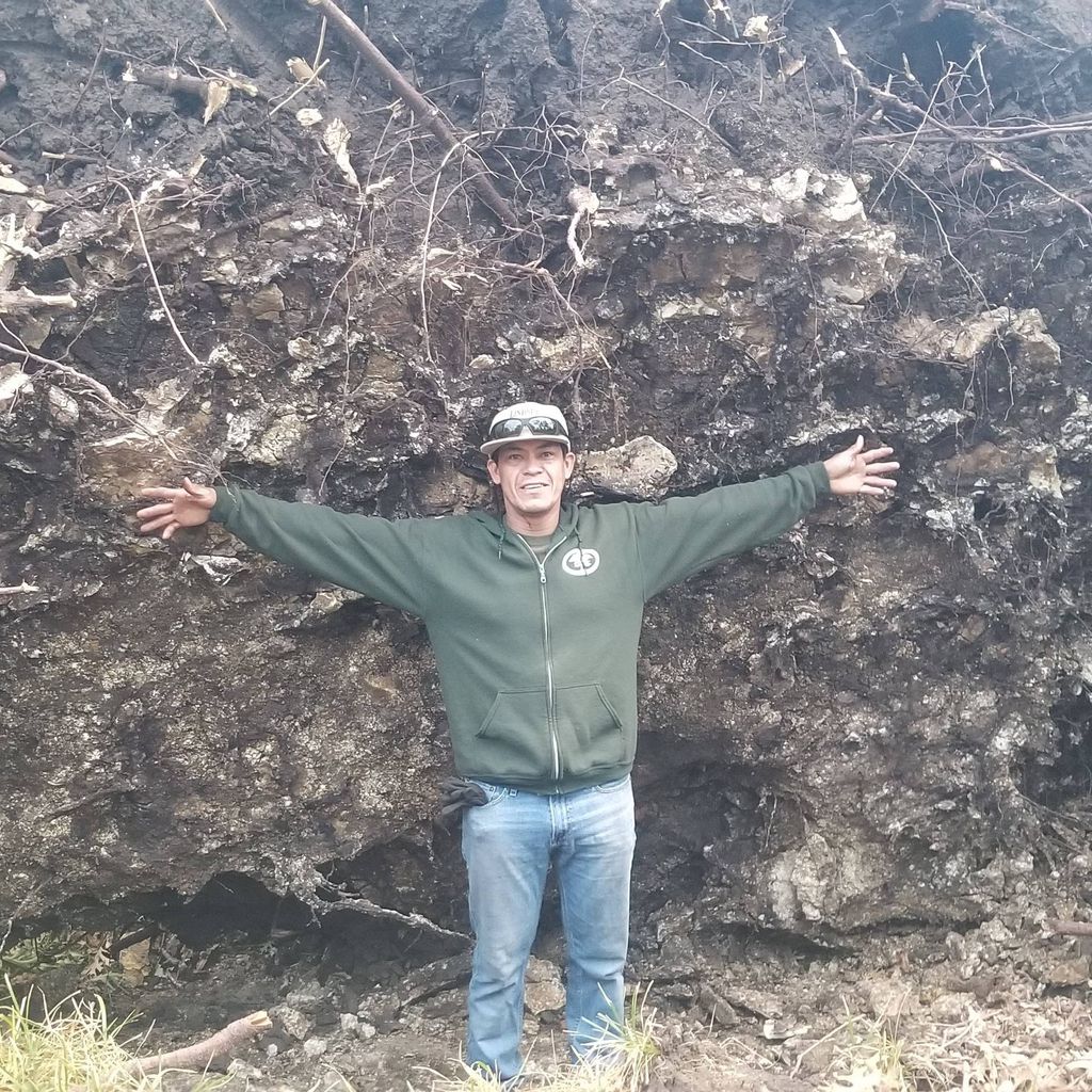 Alfredo's tree services