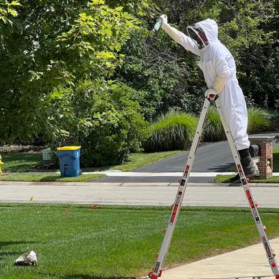 Avatar for Yard Guardian, LLC