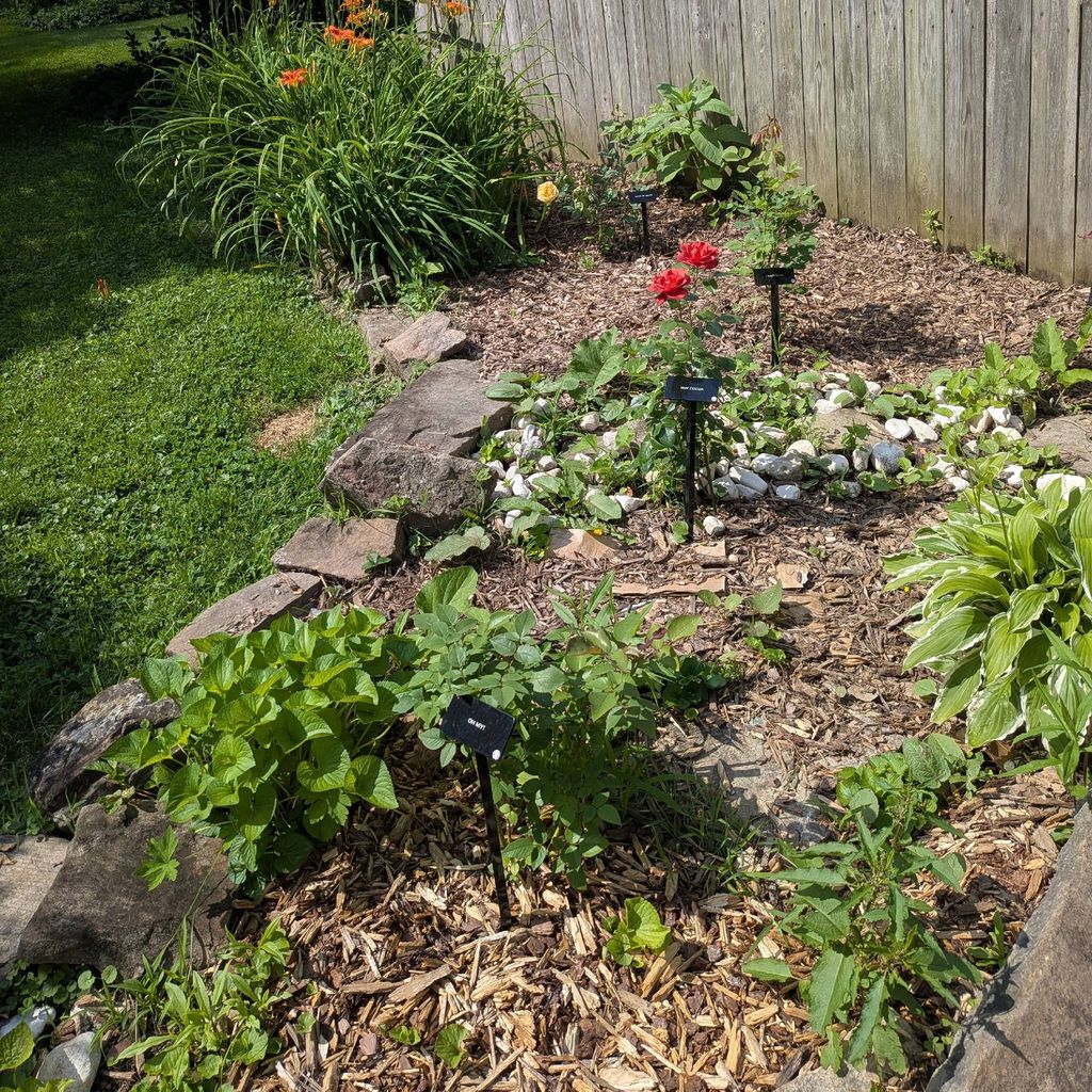 c&b cleaning