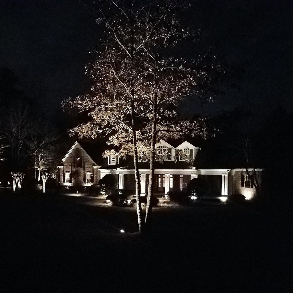 Zenscapes Landscape Lighting NO HOLIDAY or STRING