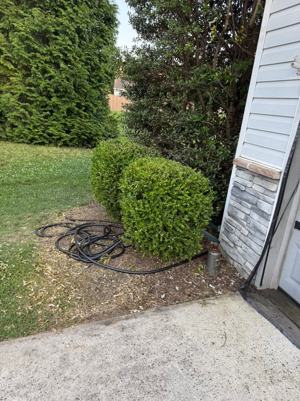 Customer photos