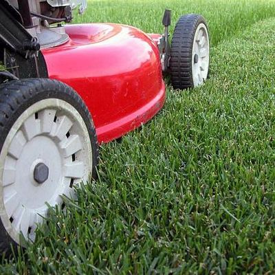 Avatar for Garcia Lawn care
