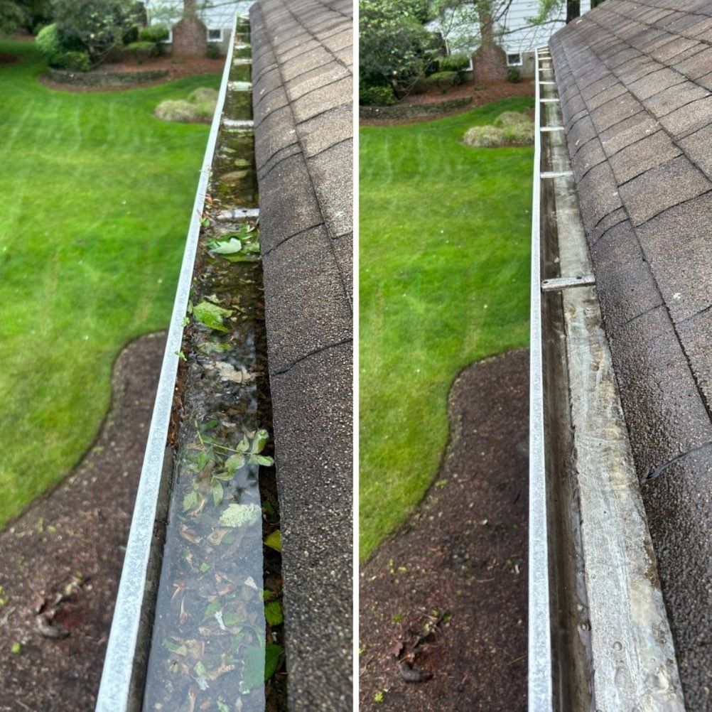 Flamingo’s pro wash and gutter cleaning service